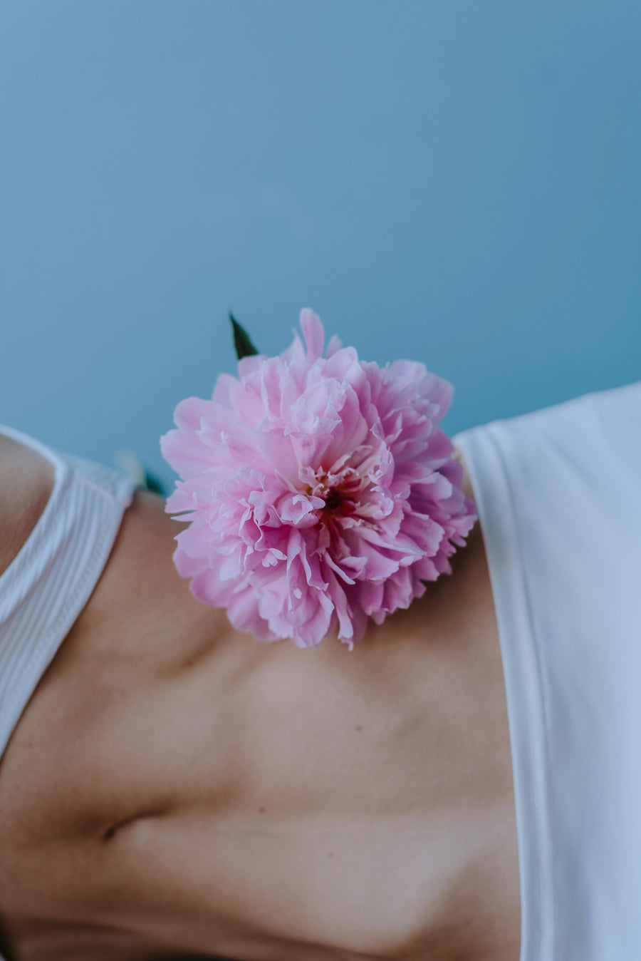 Matcha en hormonen: Wat doet het bij vrouwen?