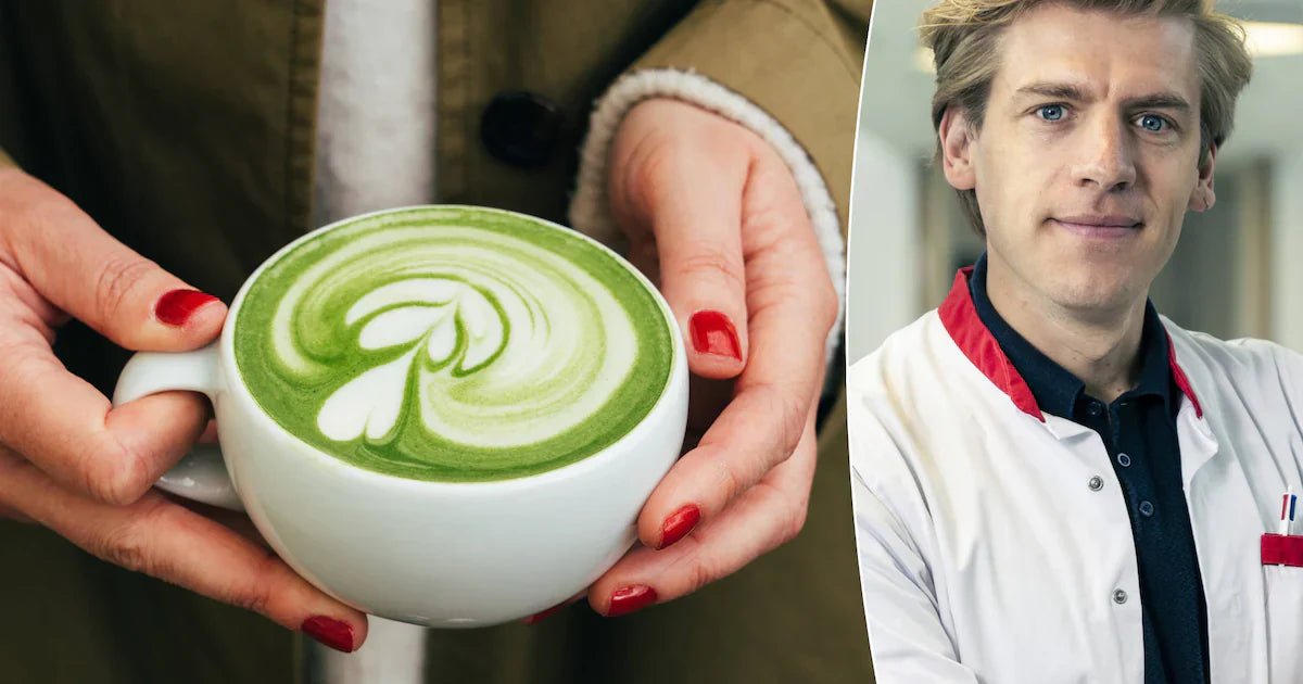 Matcha en je Immuunsysteem: Wat zegt de wetenschap?