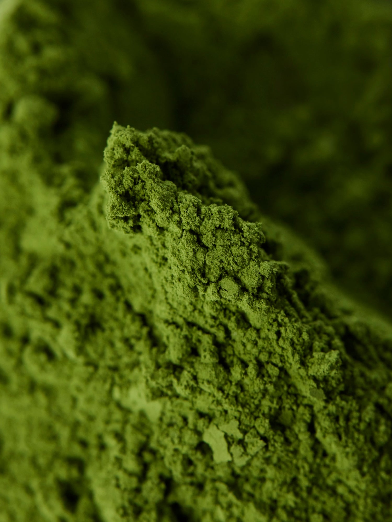 Matcha en je Immuunsysteem: Wat Doet EGCG?