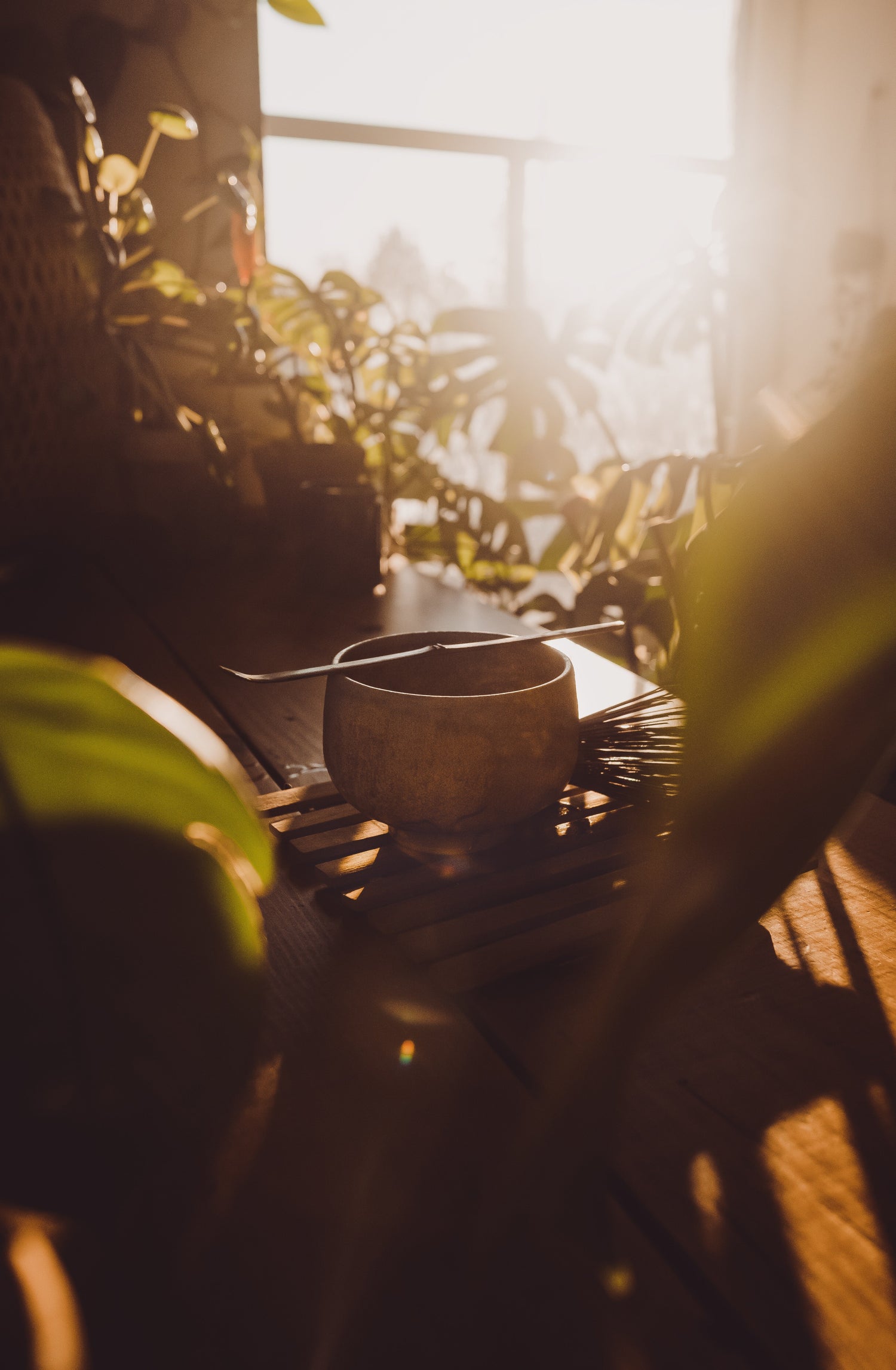 Matcha starterset kopen: Alles wat je nodig hebt